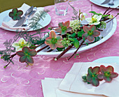 Tischdeko in flacher ovaler Schale mit Helleborus (Christrose, Lenzrose)