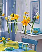Hanging table decoration with various narcissus in test tubes