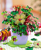 Oxalis deppei (lucky clover) in pastel purple square pot