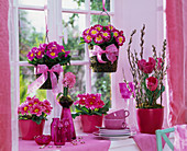 Window decoration with Primula acaulis, Hyacinthus