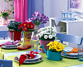 Frühlingshafte Tischdeko mit Primula (Primeln), Bellis (Tausendschön)