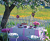 white metal seating group under flowering Malus (apple tree)