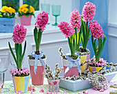 Pink Hyacinthus orientalis with bows, Salix