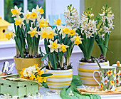 Narcissus, Hyacinthus, woodchip basket with posy