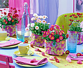 Bellis perennis in white and pink in cloth bags on the table
