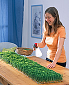 Wheatgrass rug as table runner (2/5)