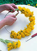 Dandelion wreath (1/2)