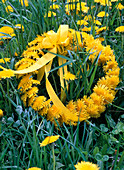 Dandelion wreath: 2/2