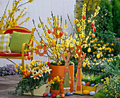 Forsythia, Tulipa, Narcissus