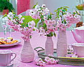 Prunus (Zierkirsche) in mit rosa Schnüren umwickelten Vasen