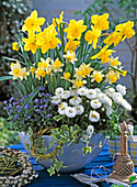 Narcissus 'Topolino' 'Dutch Master' (daffodils), Bellis (daisy)