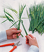 Barley and peonies stems as a standing bouquet