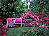 Pink wooden bench by a rhododendron bed