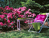 Rhododendron, Liegestuhl mit Decke und Kissen, Beistelltisch