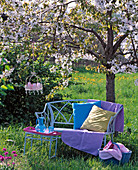 Blühender Prunus (Kirsche) mit blauer Bank, Decke, Kissen und Korb