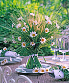 Stehstrauß aus Leucanthemum (Margeriten) und Hordeum (Gerste)