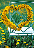 Heart-shaped wreath of Taraxacum (dandelion) hanging from the back of a chair