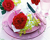 Blüte von Rosa (Rose, dunkelrot) und Alchemilla (Frauenmantel)