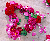 Herz aus Blüten von Rosa (Rosen in pink und rot) auf Holz gelegt, Blütenblätter