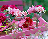 Rosa (Rosen) in Schalen mit Fuß auf rosa Tablett, Gedeck