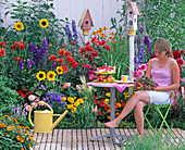 Seat by the colourful summer bed: Dahlia (dahlias), Helianthus (sunflowers)