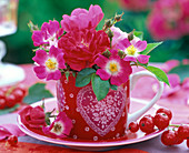 Rosa (Rosen) in roter Espressotasse mit Herzmotiv, Ribes (Johannisbeeren)