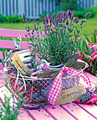 Lavandula (Lavendel) in Topf, Einmachglas mit Lavendelzucker