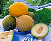 Früchte und Blätter von Cucumis (Honig- und Netzmelonen), ganz und halbiert