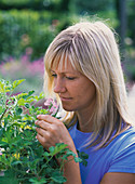 Frau schnuppert an Pelargonium (Duftgeranie)