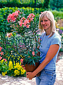 Woman with Nerium (oleander) in salmon pink