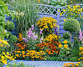 Gelbes Terrassenbeet mit oranger Holzbank
