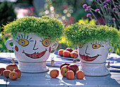 Pottery planters with a face