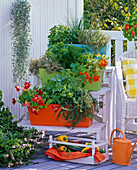 Herbs in orange, green and blue box on plant stairs