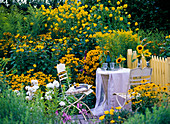 Seating area at the late summer yellow bed