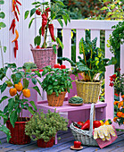 Gemüse - Kräuter - Balkon