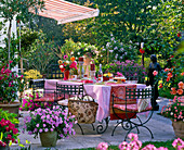 Awning over terrace with covered coffee table and potted plants