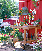 Outdoor kitchen, solid wood kitchen cart in front of red wooden wall