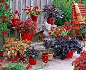 Terrasse mit roten Blüten, Blättern und Töpfen