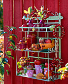 Shelf with apples and ornamental apples