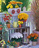 Autumn balcony with chrysanthemums and lanterns