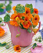 Summer bouquet of nasturtium