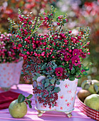 Autumn pot berries red