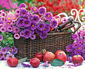 Basket with autumnal flowers