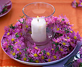 Wreath of Aster (Asters) around a lantern with a white candle