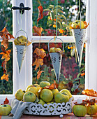 Cydonia (Quitten), trockenes Herbstlaub in Hängeampeln im Fenster