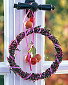 Wreath of Calluna (broom heather) wrapped with pink ribbon, Malus (ornamental apples)