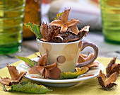 Fagus (beechnuts), Carpinus (hornbeam) in espresso cup