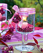 Berries of Callicarpa in lantern with pink candle