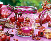 Rosa (Hagebutten) an und in Schraubglas mit pinkfarbener Kerze, Schleifenband