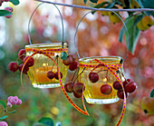 Malus (rote Zieräpfel) an gelben Windlichtern, Schleifenbänder